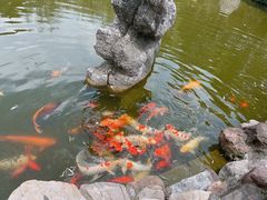 -宜兴张公洞