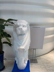 -洁铭新加坡医美