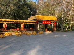 -黑龙江省森林植物园