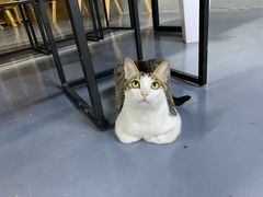 -蓝天射箭馆·专业射箭运动(诚丰广场店)