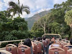 -Big Bus Tours 敞篷观光巴士