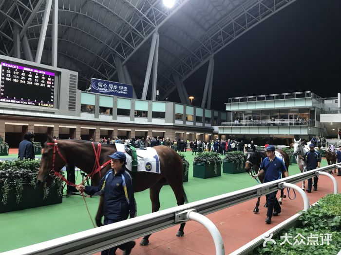 香港赛马会(沙田马场)图片