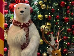 -九洲喜来登酒店湖月日餐厅