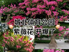 -杭州城北体育公园