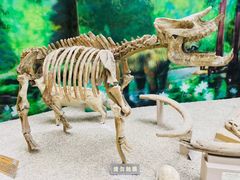 -中国地质大学逸夫博物馆