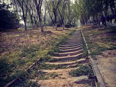 -永定河休闲森林公园