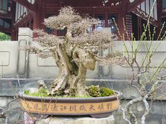-成都杜甫草堂博物馆