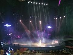 -灵玲国际马戏城