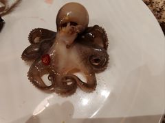 -禾斗海鲜自助(市南银座店)