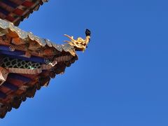 -四川郎木寺镇