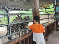 -南京汤山紫清湖生态旅游温泉度假区