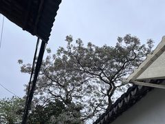 -金泽古镇