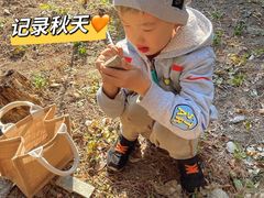 -北京鹫峰国家森林公园