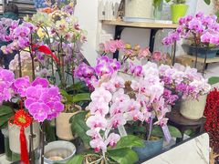 -FEI FEI FLOWER鲜花店·气球派对·宝宝宴布置(虹口德必运动Loft店)