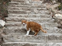 -北京凤凰岭