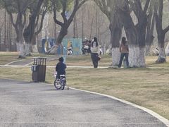 -九里河湿地公园