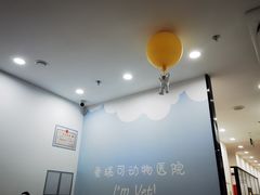 -瑞派·爱瑞可动物医院·口腔专科(广华新城分院)
