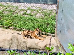 -深圳野生动物园
