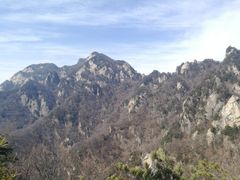-王顺山国家森林公园