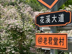 -老君堂公园