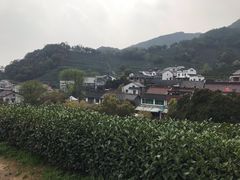 -国生茶庄·地道农家菜团建活动