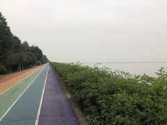-贡湖湾湿地公园