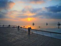 -贡湖湾湿地公园