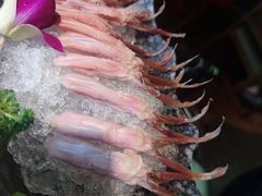-新哥老官·畅吃123·美蛙世界(苏宁广场店)