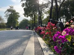 -海珠湖公园