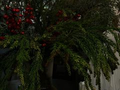 -肥朵食堂(带梦胡同店)