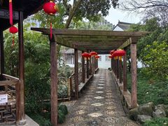 -上海醉白池公园