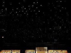 -STARRY CAFE & LOUNGE BAR(高新店)