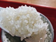 糯米饭-没牙伯花生汤店(老药洲店)