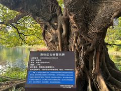 -晓港公园