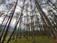 -硗碛藏寨·神木垒景区