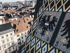 -斯蒂芬主教座堂(Stephansdom)