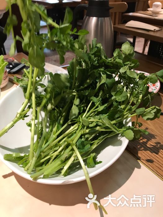 汕头八合里海记牛肉店(玲珑路店)潮汕西洋菜图片 - 第1635张