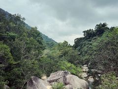-海南热带雨林国家公园吊罗山景区