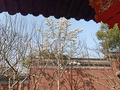 -钱王祠