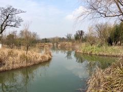 -梁鸿国家湿地公园