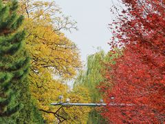 -辽宁大学(崇山校区)