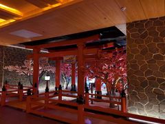 -蓝鲸湾汤泉(包河店)