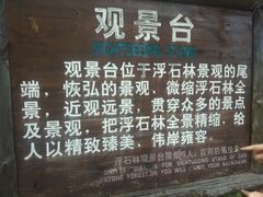 -峡谷浮石林景区