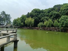 -灵岩山风景区