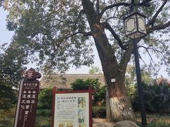 -青羊宫