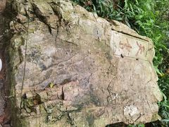 -冶父山国家森林公园