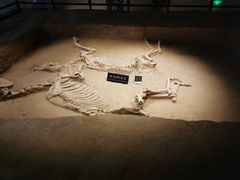 -洛阳周王城天子驾六博物馆