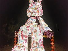 -棒棰岛宾馆景区