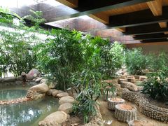 -三江森林温泉度假区