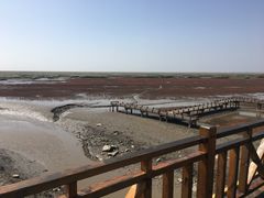 -红海滩国家风景廊道